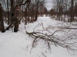 img-20240206-wa0004