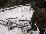 img-20240206-wa0019