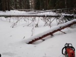 img-20240206-wa0020