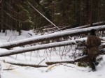 img-20240206-wa0063