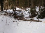 img-20240206-wa0071