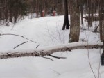 img-20240206-wa0082