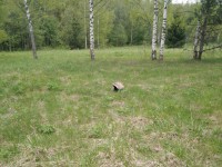 img-20240515-wa0007