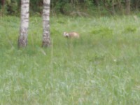img-20240515-wa0008