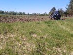 img-20240520-wa0005
