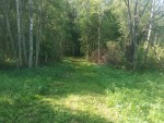 img-20240522-wa0001