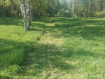 img-20240522-wa0003