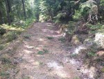 img-20240530-wa0023