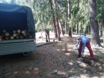 img-20240604-wa0016