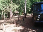 img-20240604-wa0020