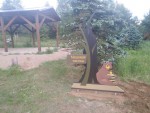img-20240611-wa0016