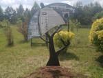 img-20240611-wa0019