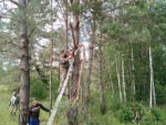 img-20240618-wa0003