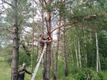 img-20240618-wa0020