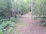 img-20240724-wa0006