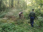 img-20240724-wa0010