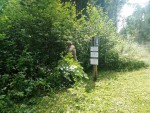 img-20240730-wa0006