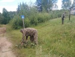 img-20240730-wa0007