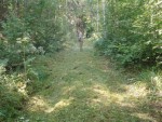img-20240813-wa0006