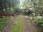 img-20240814-wa0004