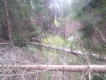 img-20240814-wa0013
