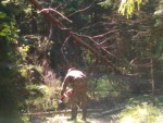 img-20240814-wa0021