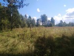 img-20240814-wa0026