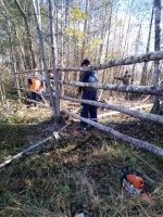 img-20241018-wa0008