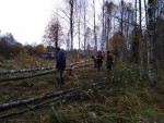 img-20241018-wa0012