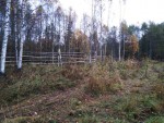 img-20241018-wa0017