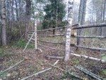 img-20241018-wa0018