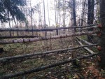 img-20241018-wa0021