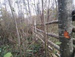 img-20241018-wa0028
