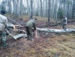 img-20241108-wa0003