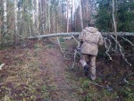 img-20241108-wa0009