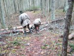 img-20241108-wa0015