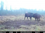 img-20241108-wa0035-zubry