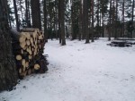 img-20250123-wa0005