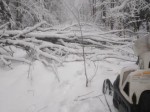 img-20250123-wa0028