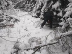 img-20250123-wa0041
