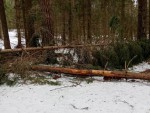 img-20250123-wa00600