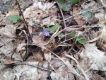 img-20250311-wa0014