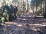 img-20250402-wa0007