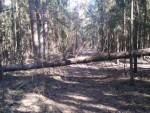 img-20250402-wa0008