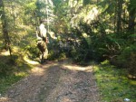 img-20250402-wa0017