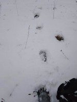 img-20250410-wa0001