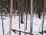 img-20250414-wa0000