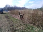 img-20250415-wa0010