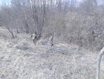 img-20250415-wa0022