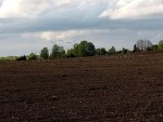img-20250426-wa0001